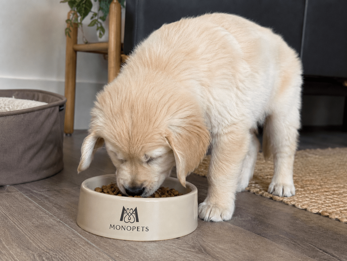 Golden retriever puppy eet brokjes uit een voerbak met Monopets logo in een huiselijke setting.